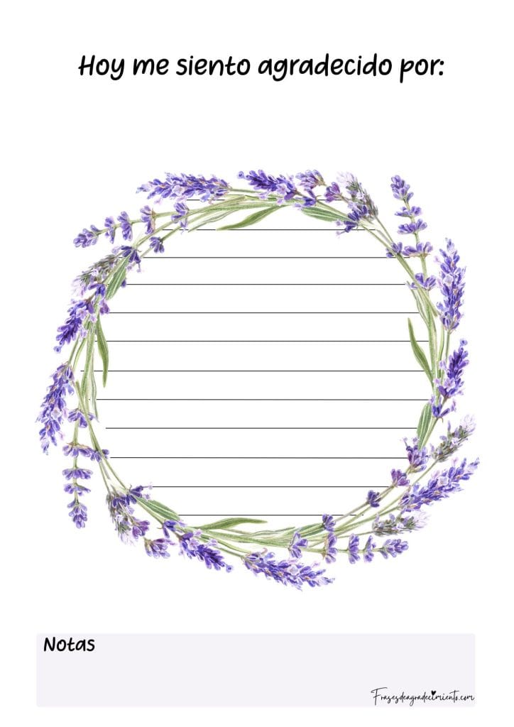 Gratitud Floral Lavanda