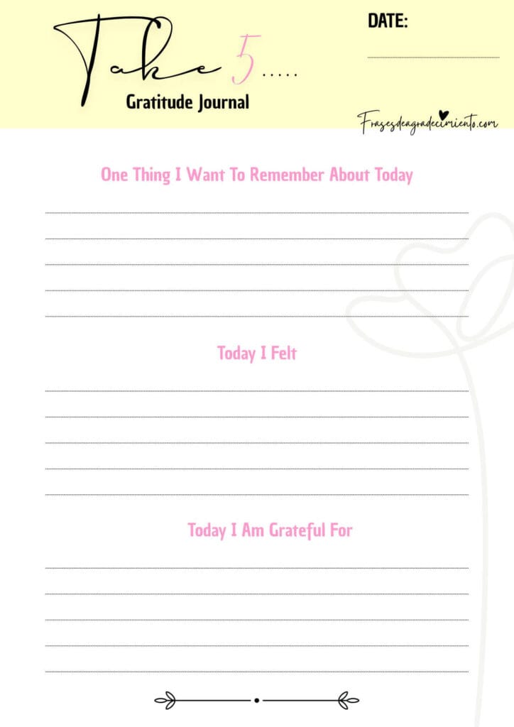 Diario Take 5 Focus Gratitude Journal