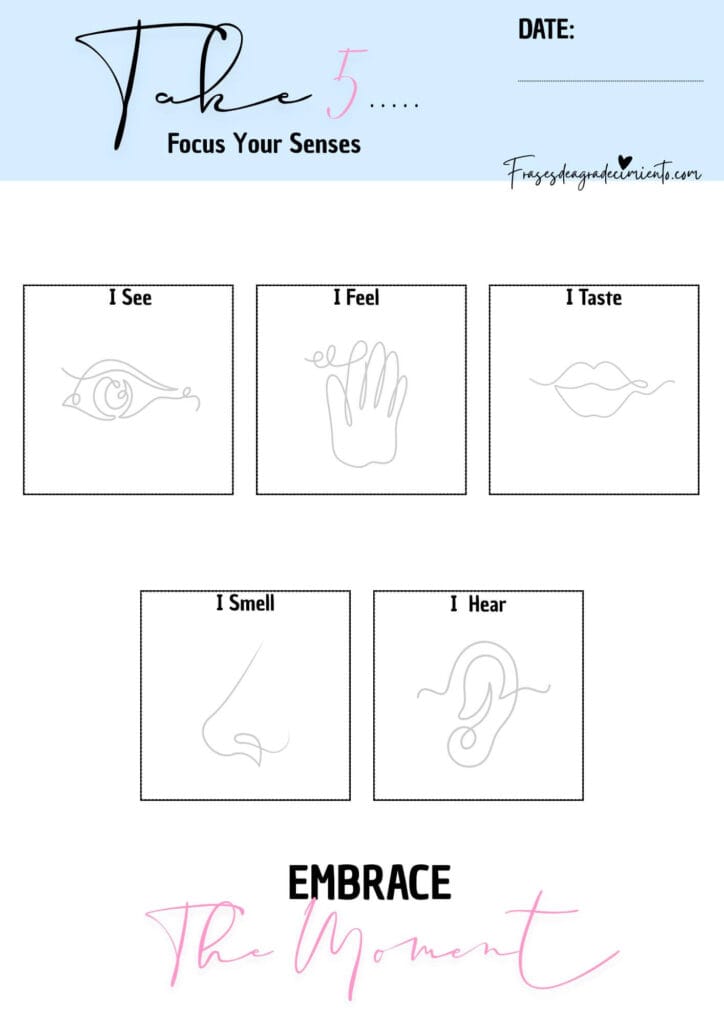 Diario Take 5 Focus Your Senses