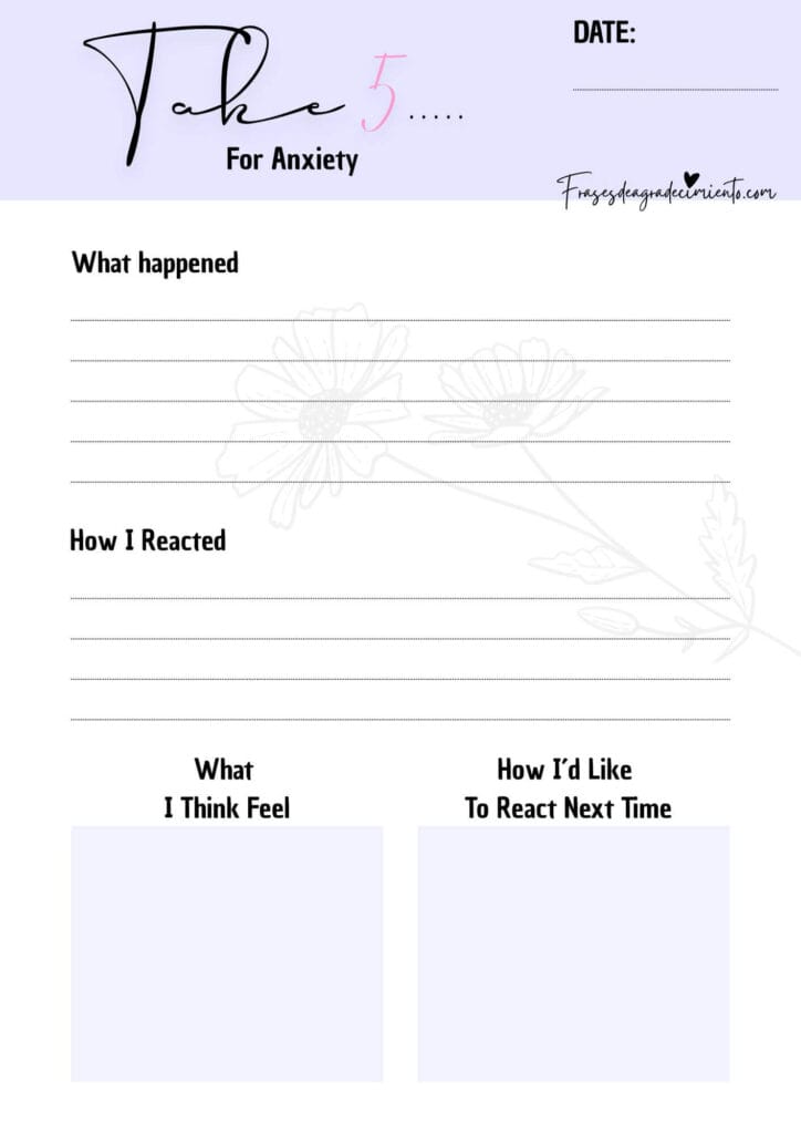 Diario Take 5 For Anxiety