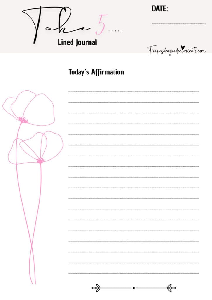 Diario Take 5 Lined Journal