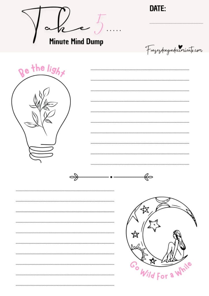 Diario Take 5 Minute Mind Dump